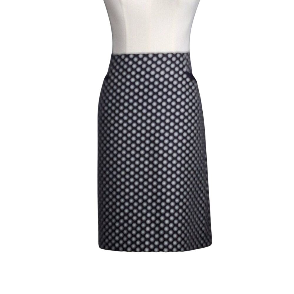 Talbots Womens Size 10 Skirt Wool Blend Polka Dot Lined Blue and White